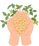 An image of hands with black eyed-peas.